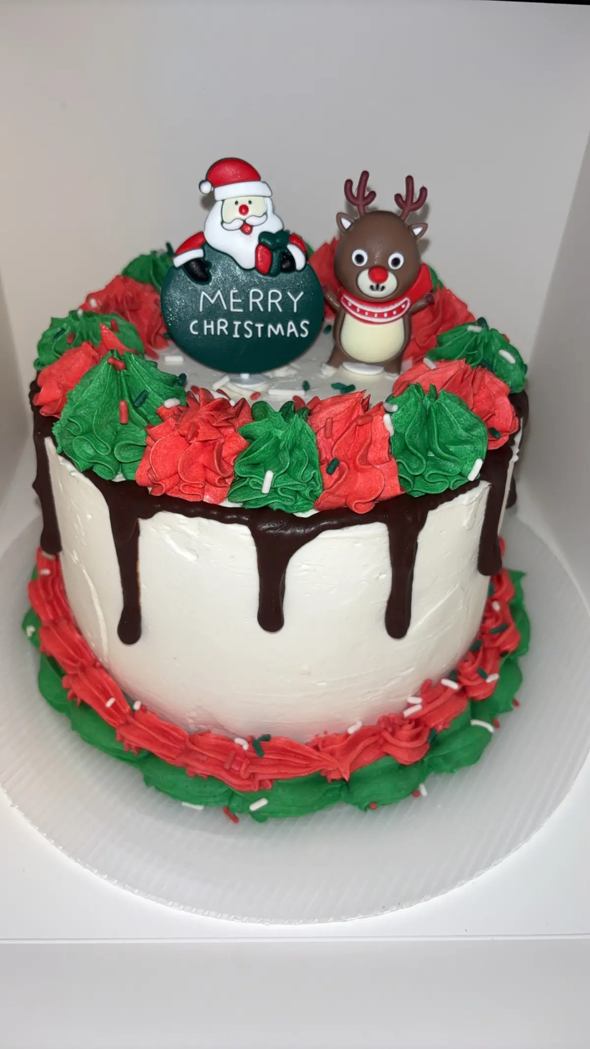 Christmas cake with Santa and Rudolph